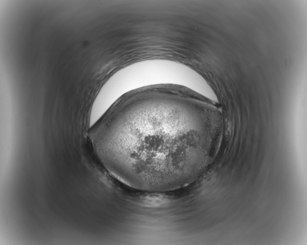 X0000086980666200704301319