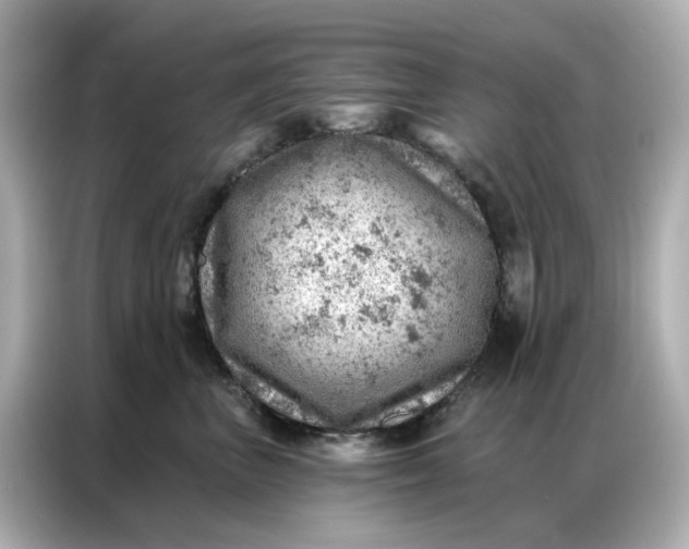 X0000086980667200704301319