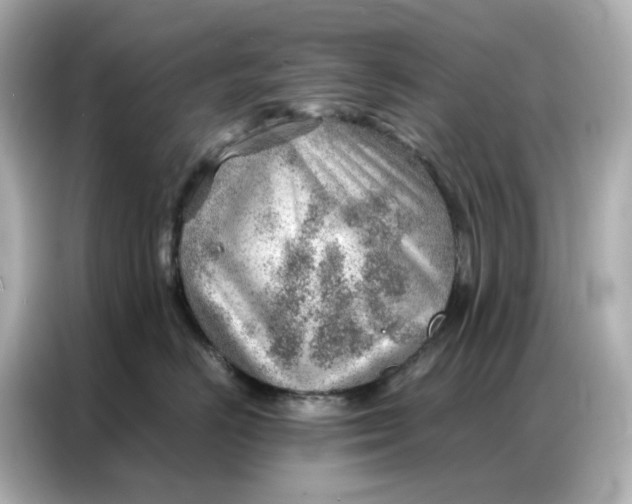 X0000086980670200704301319