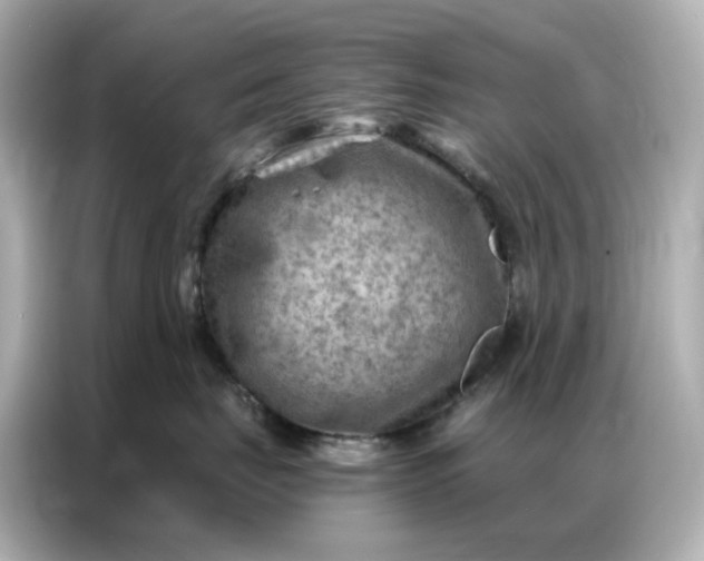 X0000086980671200704301319