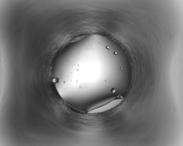 X0000086980672200704301319