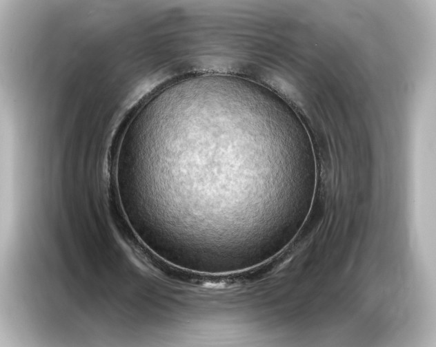 X0000086980674200704301318