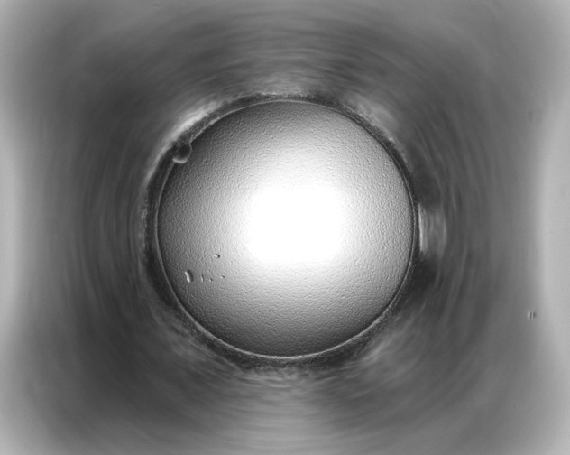 X0000086980675200704301318