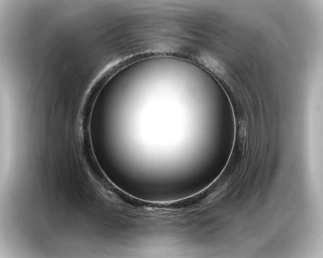 X0000086980676200704301318