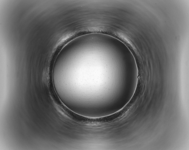 X0000086980677200704301318