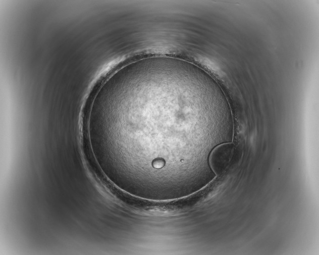 X0000086980678200704301318