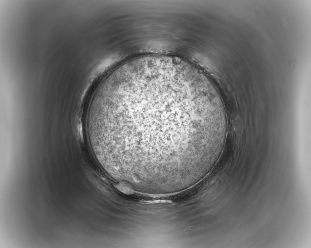 X0000086980679200704301318