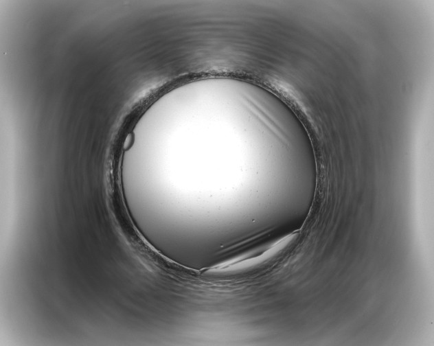 X0000086980680200704301318