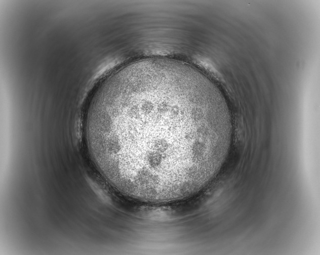 X0000086980683200704301318