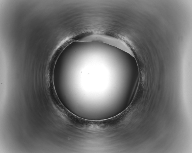 X0000086980684200704301318