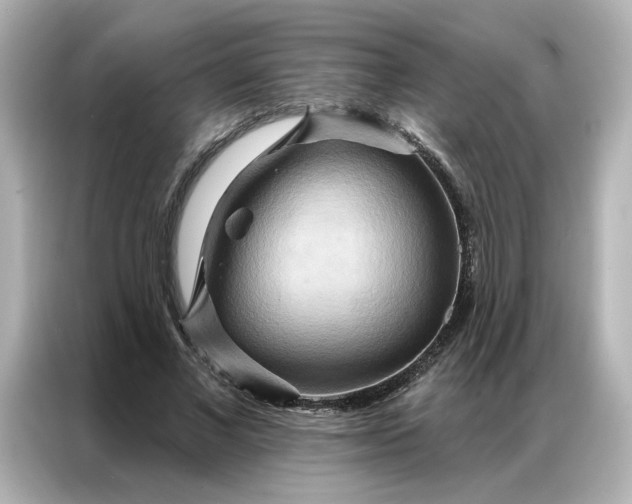 X0000086980685200704301318