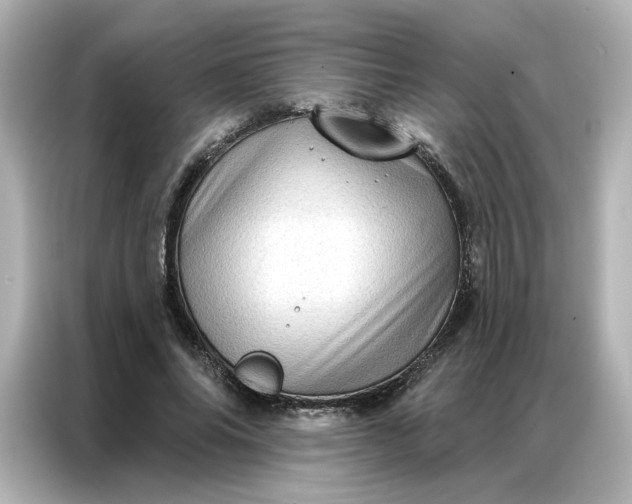 X0000086980686200704301318