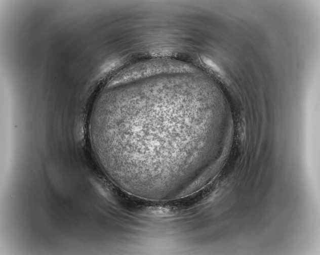 X0000086980687200704301318