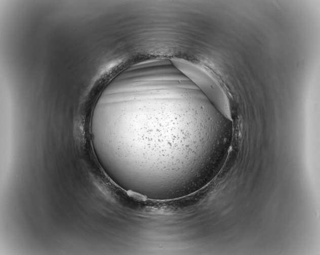 X0000086980688200704301318