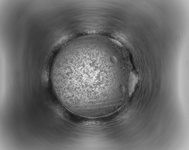 X0000086980691200704301318