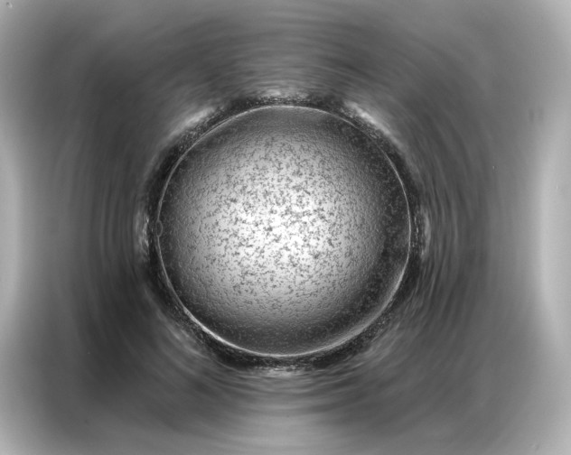 X0000086980692200704301318