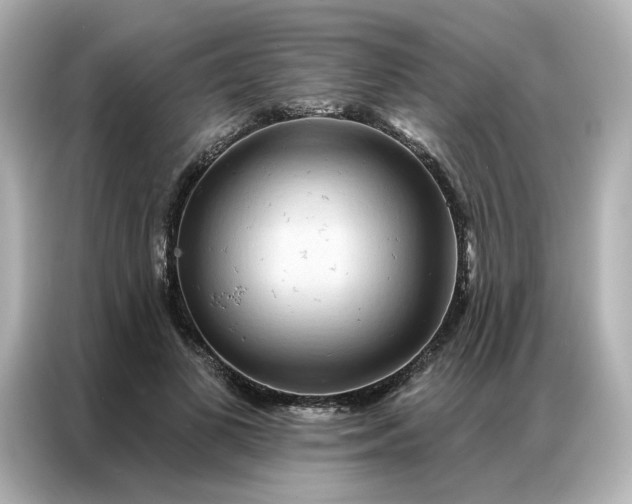 X0000086980693200704301318