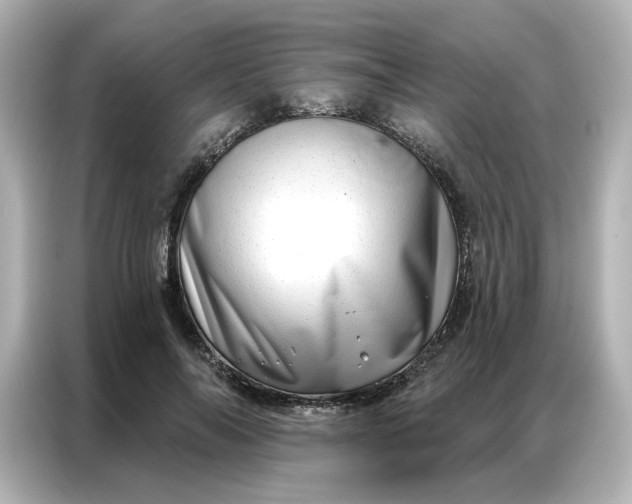 X0000086980694200704301318