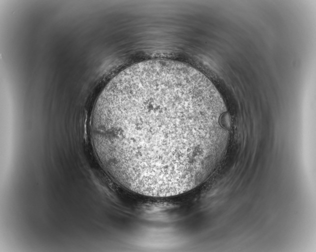 X0000086980695200704301318