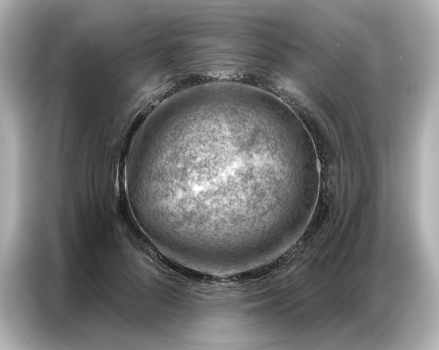 X0000086980696200704301318