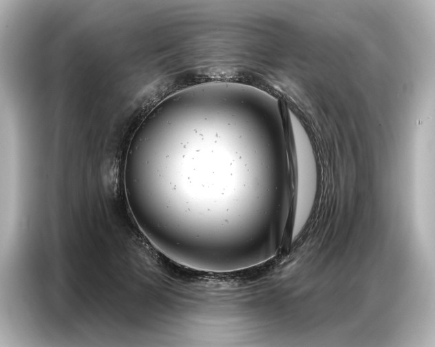 X0000086980697200704301318