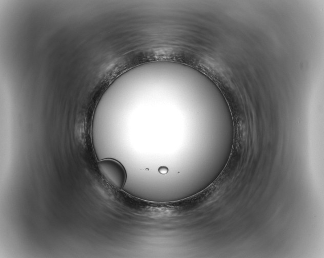 X0000086980698200704301318