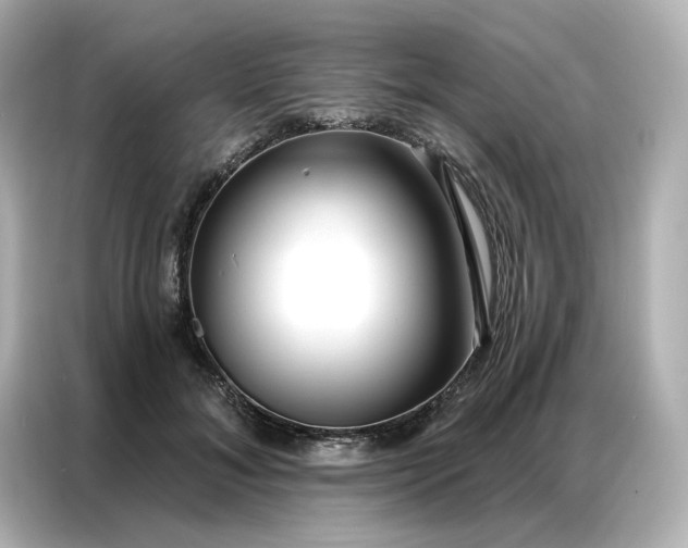 X0000086980700200704301318