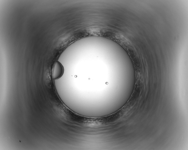 X0000086980702200704301318