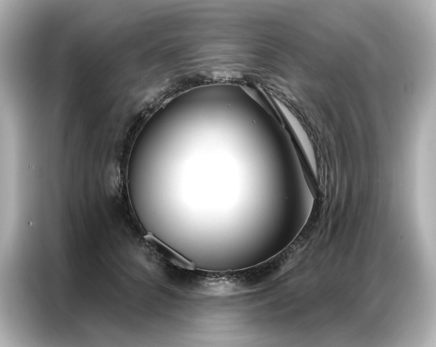 X0000086980704200704301318