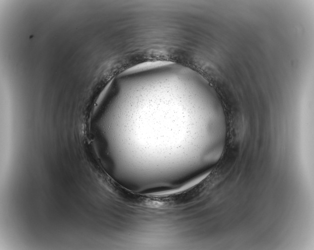 X0000086980706200704301318