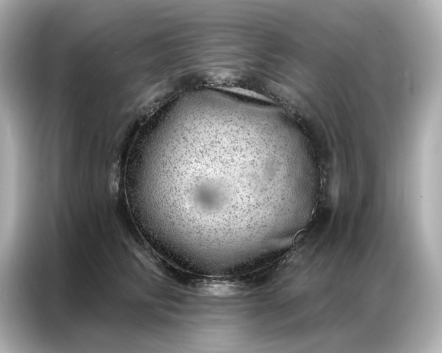 X0000086980710200704301318