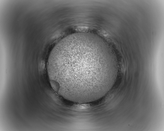 X0000086980711200704301318