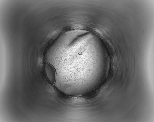 X0000086980714200704301317