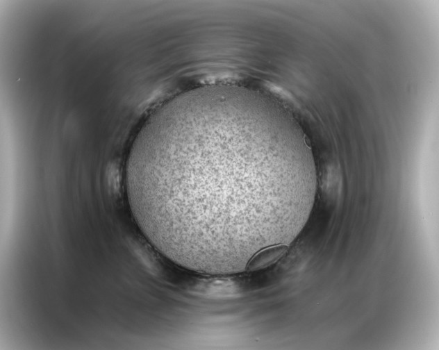 X0000086980715200704301317