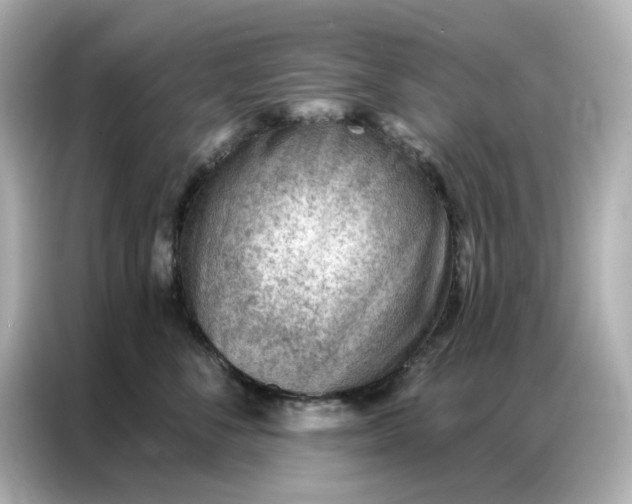 X0000086980716200704301317