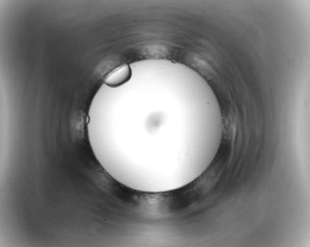 X0000086980717200704301317