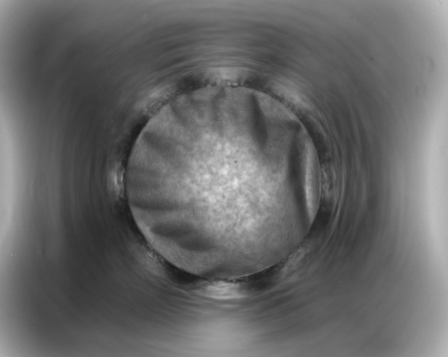 X0000086980718200704301317