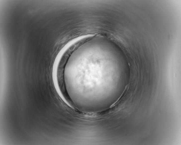 X0000086980720200704301317