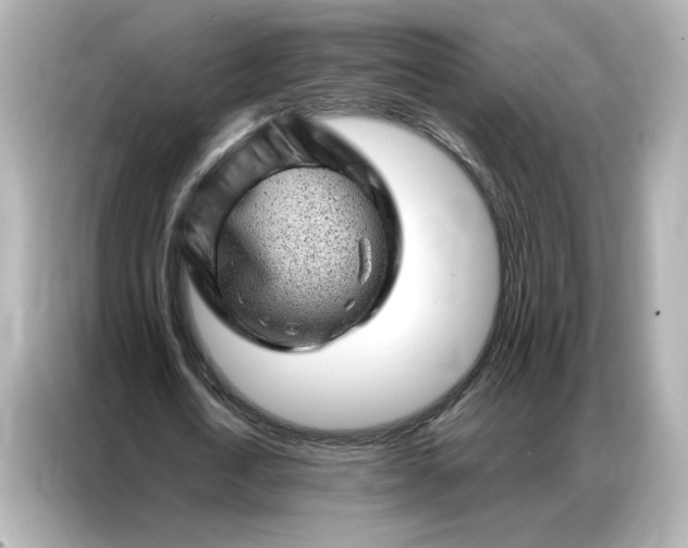 X0000086980722200704301317