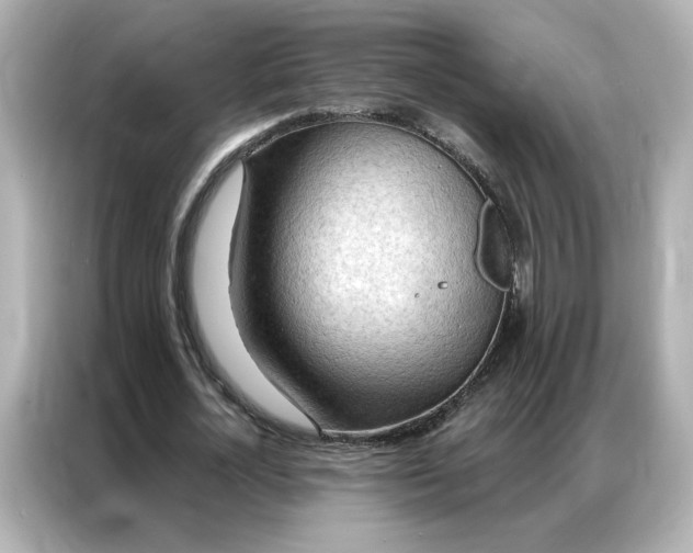 X0000086980724200704301317