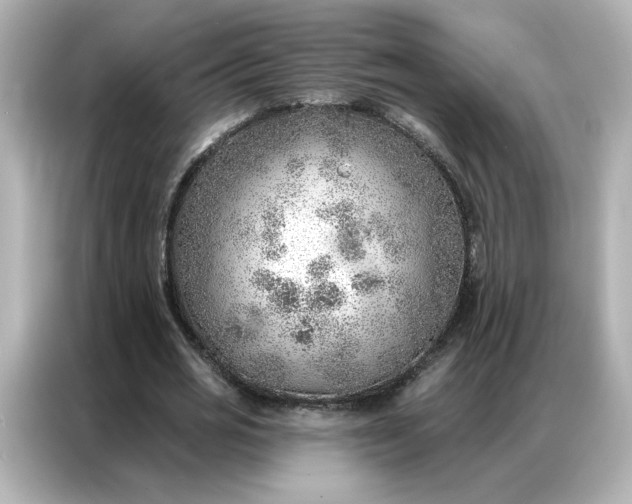 X0000086980725200704301317