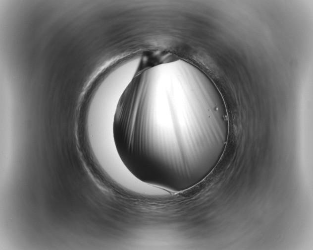 X0000086980728200704301317