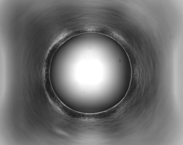 X0000086980730200704301317