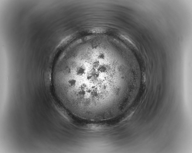 X0000086980733200704301317