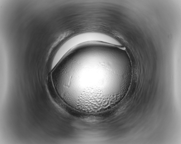 X0000086980734200704301317