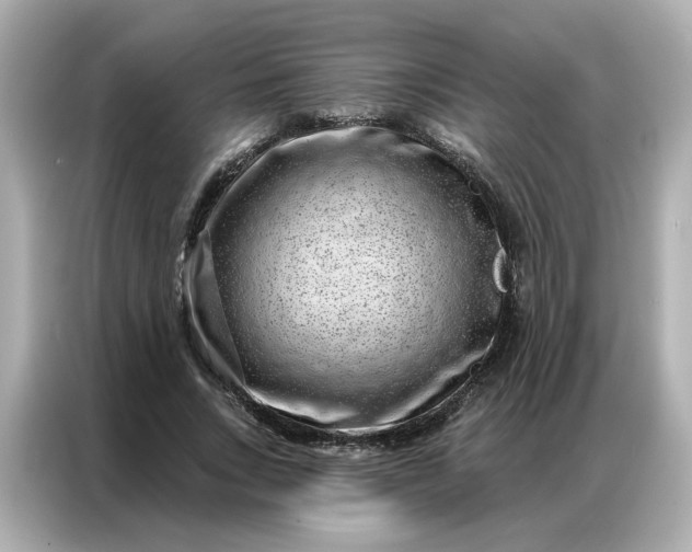 X0000086980735200704301317