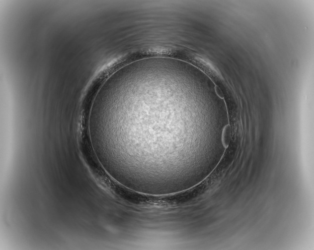 X0000086980736200704301317