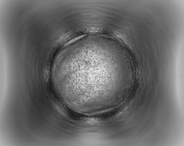 X0000086980741200704301317