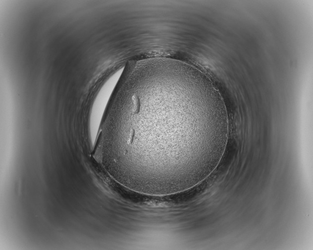 X0000086980742200704301317