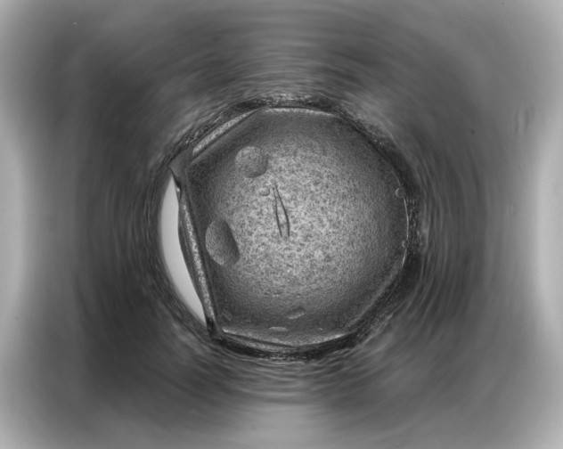 X0000086980746200704301317